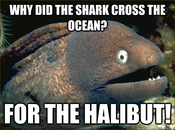 Why did the shark cross the ocean? for the halibut!  Bad Joke Eel