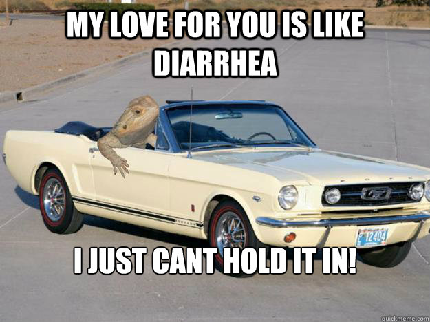 My love for you is like diarrhea I just cant hold it in!

  Pickup Dragon