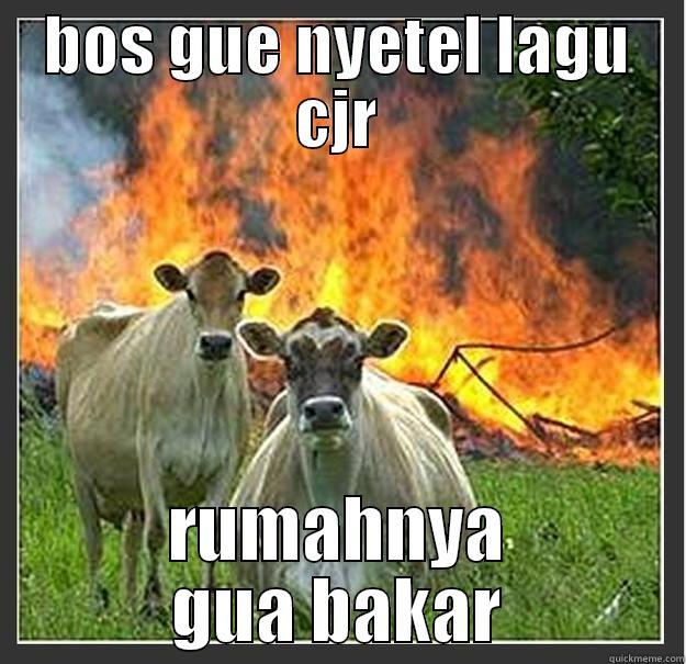 cjr hahahaha - BOS GUE NYETEL LAGU CJR RUMAHNYA GUA BAKAR Evil cows