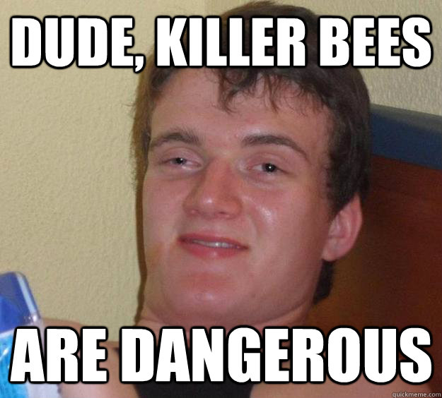 Dude, Killer Bees are dangerous - Dude, Killer Bees are dangerous  10 Guy