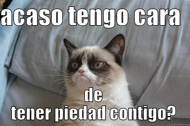 ACASO TENGO CARA   DE TENER PIEDAD CONTIGO? Grumpy Cat