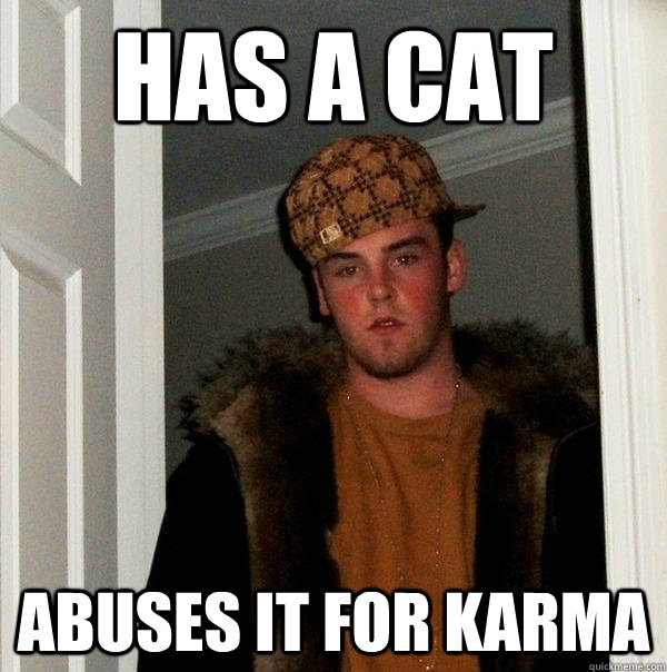 has a cat abuses it for karma  Scumbag Steve