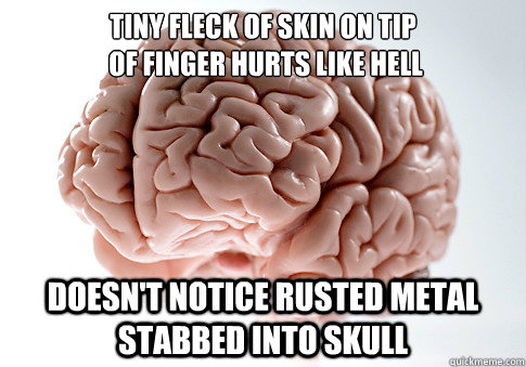 Tiny fleck of skin on tip
 of finger hurts like hell Doesn't notice rusted metal stabbed into skull  Scumbag Brain