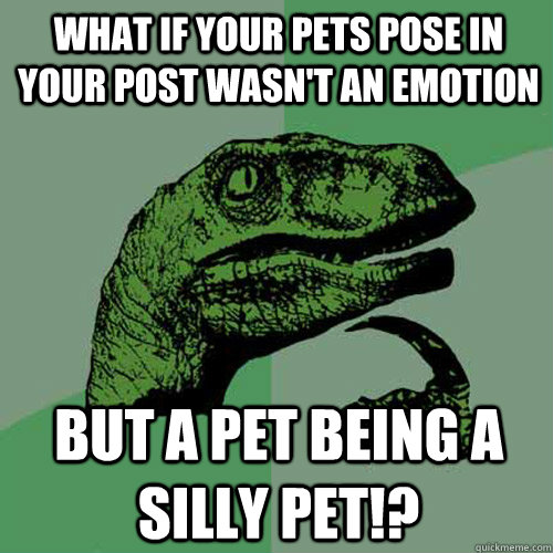 What if your pets pose in your post wasn't an emotion But a pet being a silly pet!?  Philosoraptor