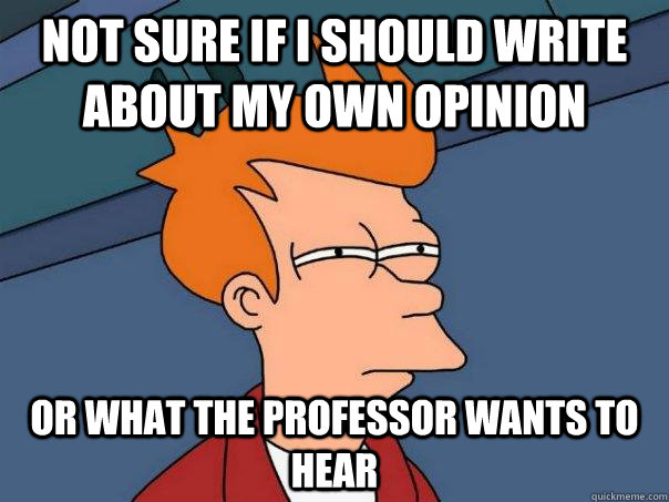 Not sure if I should write about my own opinion or what the professor wants to hear - Not sure if I should write about my own opinion or what the professor wants to hear  Futurama Fry