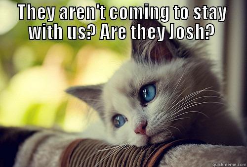 sad kitty - THEY AREN'T COMING TO STAY WITH US? ARE THEY JOSH?  First World Problems Cat