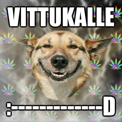 Vittukalle :-------------D  Stoner Dog