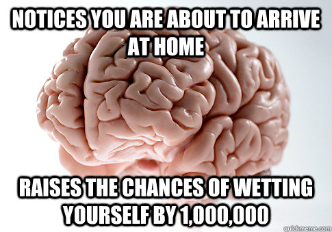 Notices you are about to arrive at home raises the chances of wetting yourself by 1,000,000   Scumbag Brain