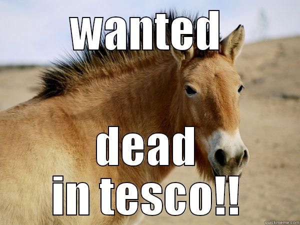 WANTED DEAD IN TESCO!! Misc