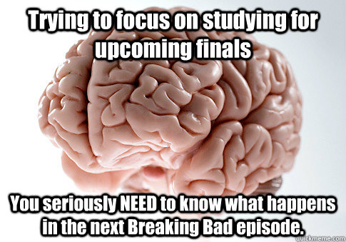 Trying to focus on studying for upcoming finals You seriously NEED to know what happens in the next Breaking Bad episode.    Scumbag Brain