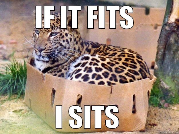 IF IT FITS  I SITS Misc