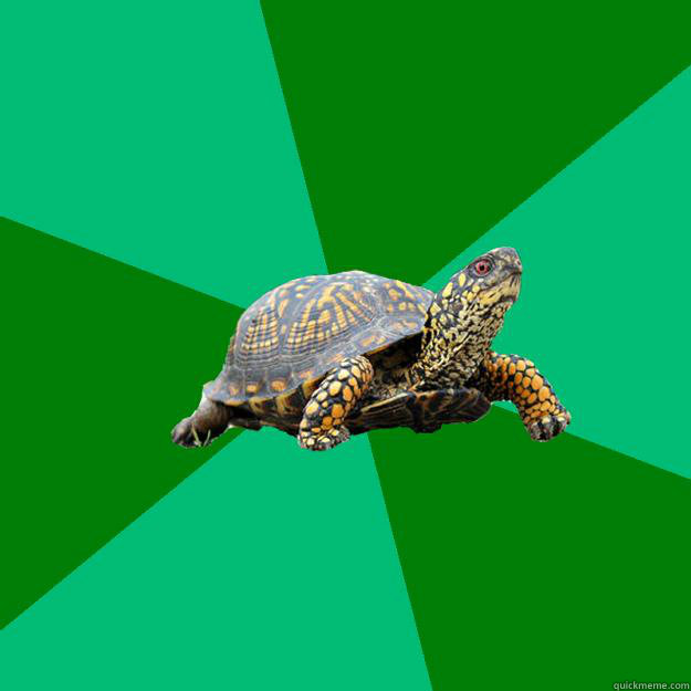    Torrenting Turtle