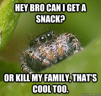 Hey bro can i get a snack? Or kill my family, that's cool too.  Misunderstood Spider