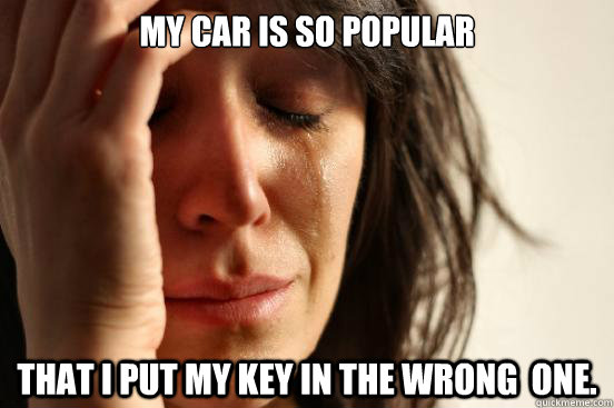 My car is so popular that I put my key in the wrong  one.  First World Problems