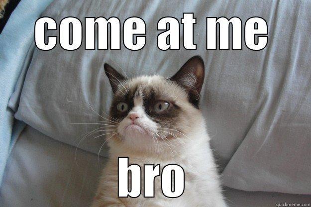 COME AT ME BRO Grumpy Cat