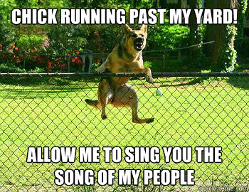 chick running past my yard! allow me to sing you the song of my people  Song of my people  dog