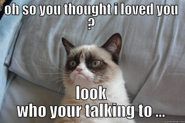 your wrong - OH SO YOU THOUGHT I LOVED YOU ? LOOK WHO YOUR TALKING TO ... Grumpy Cat