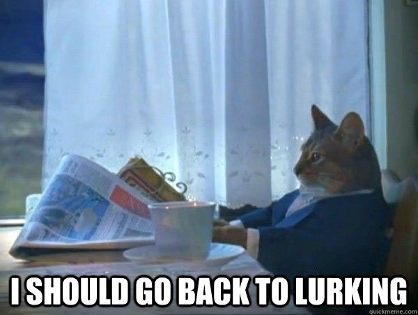  I should go back to lurking  morning realization newspaper cat meme