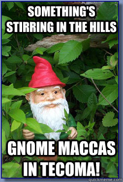 Something's stirring in the hills Gnome Maccas in tecoma!  Bush Gnome