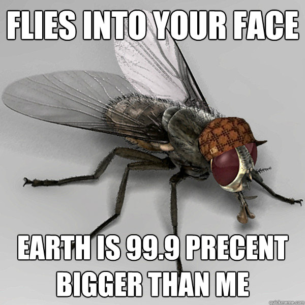 flies into your face earth is 99.9 precent bigger than me  