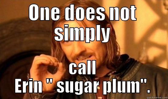 ONE DOES NOT SIMPLY CALL ERIN 