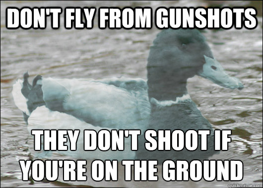 Don't Fly from gunshots They don't shoot if
you're on the Ground  