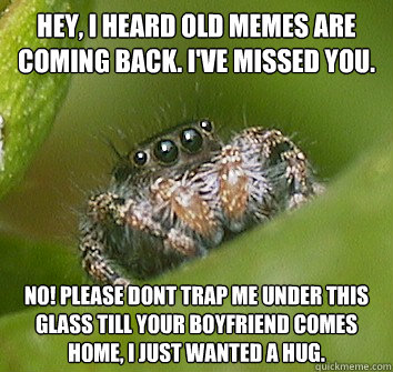 Hey, I heard old memes are coming back. I've missed you.  NO! Please dont trap me under this glass till your boyfriend comes home, I just wanted a hug.  Misunderstood Spider