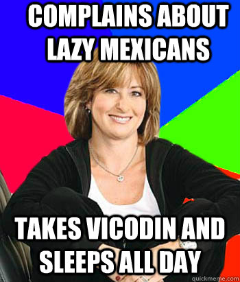 Complains about lazy Mexicans Takes Vicodin and sleeps all day  Sheltering Suburban Mom