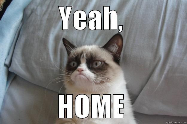 So happy  - YEAH, HOME Grumpy Cat