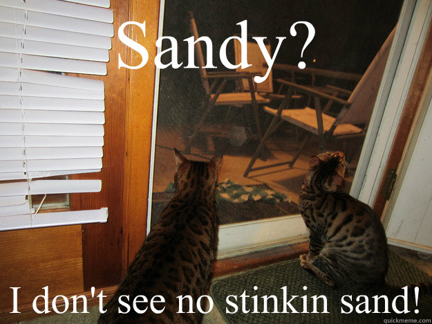 Sandy? I don't see no stinkin sand! - Sandy? I don't see no stinkin sand!  Misc