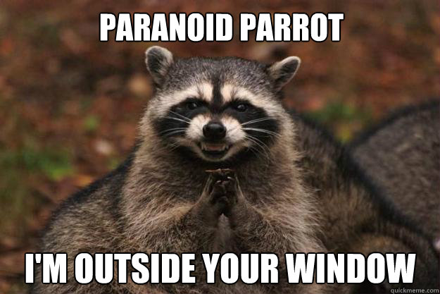 Paranoid Parrot I'm outside your window  Evil Plotting Raccoon