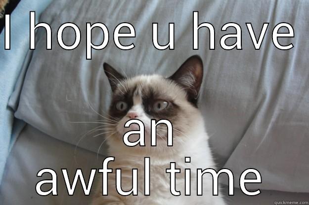 have an awful time - I HOPE U HAVE  AN AWFUL TIME Grumpy Cat