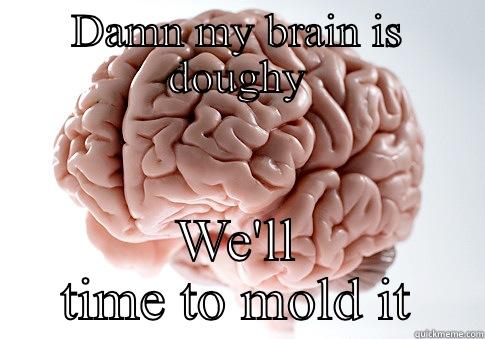 DAMN MY BRAIN IS DOUGHY WE'LL TIME TO MOLD IT Scumbag Brain