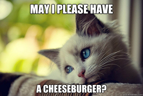 may i please have  a cheeseburger?  First World Problems Cat