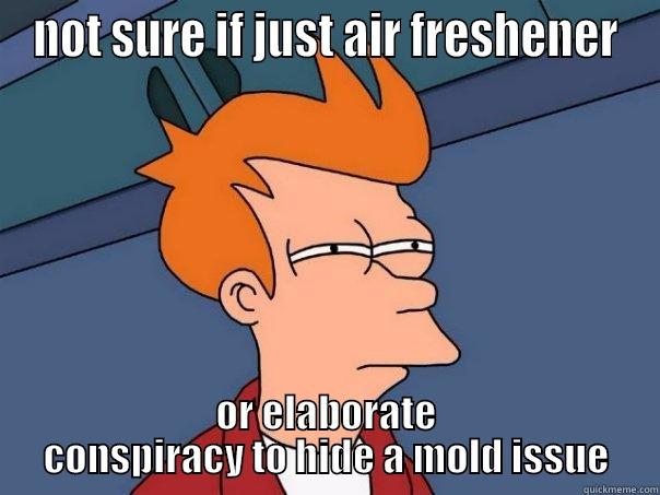 new office smell - NOT SURE IF JUST AIR FRESHENER OR ELABORATE CONSPIRACY TO HIDE A MOLD ISSUE Futurama Fry