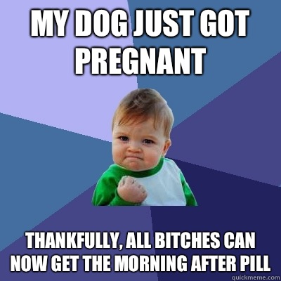 My dog just got pregnant Thankfully, all bitches can now get the morning after pill  Success Kid