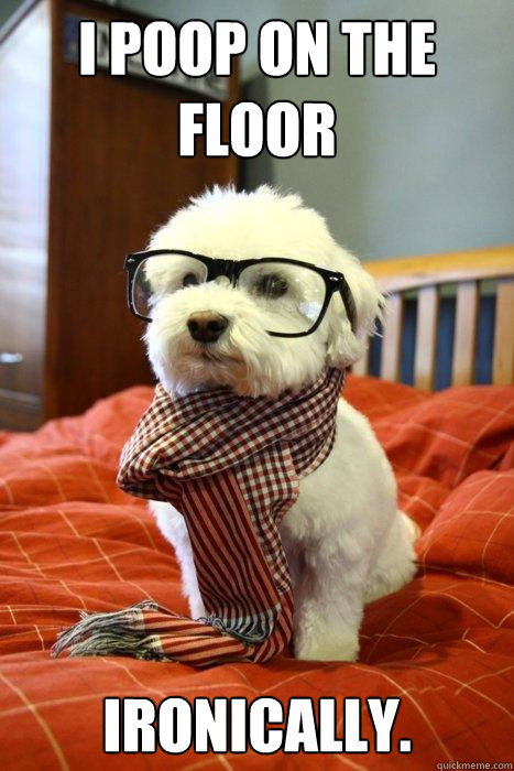 I poop on the floor Ironically. - I poop on the floor Ironically.  Hipster Dog