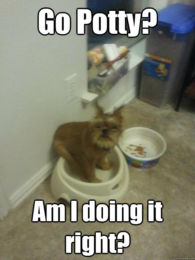 Go Potty? Am I doing it right? - Go Potty? Am I doing it right?  Potty Dog!