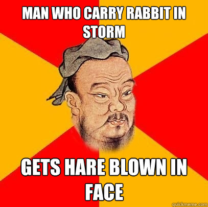 Man who carry rabbit in storm gets hare blown in face  Confucius says