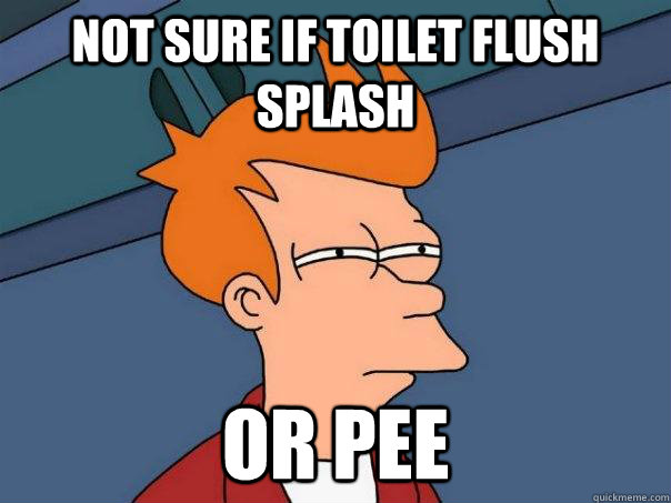 not sure if toilet flush splash or pee  Futurama Fry