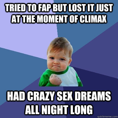 tried to fap but lost it just at the moment of climax had crazy sex dreams all night long  Success Kid