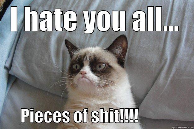 I HATE YOU ALL...        PIECES OF SHIT!!!!                 Grumpy Cat