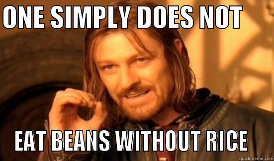 ONE SIMPLY DOES NOT       EAT BEANS WITHOUT RICE   Boromir