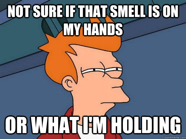 Not sure if that smell is on my hands Or what I'm holding  Futurama Fry