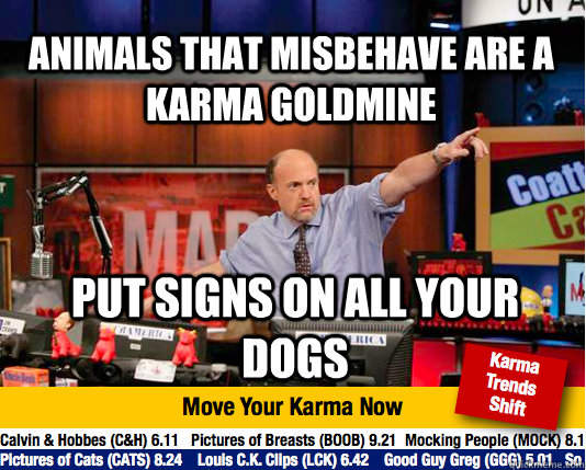 Animals that misbehave are a karma goldmine Put signs on all your dogs  Mad Karma with Jim Cramer