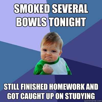 Smoked several bowls tonight still finished homework and got caught up on studying - Smoked several bowls tonight still finished homework and got caught up on studying  Success Kid