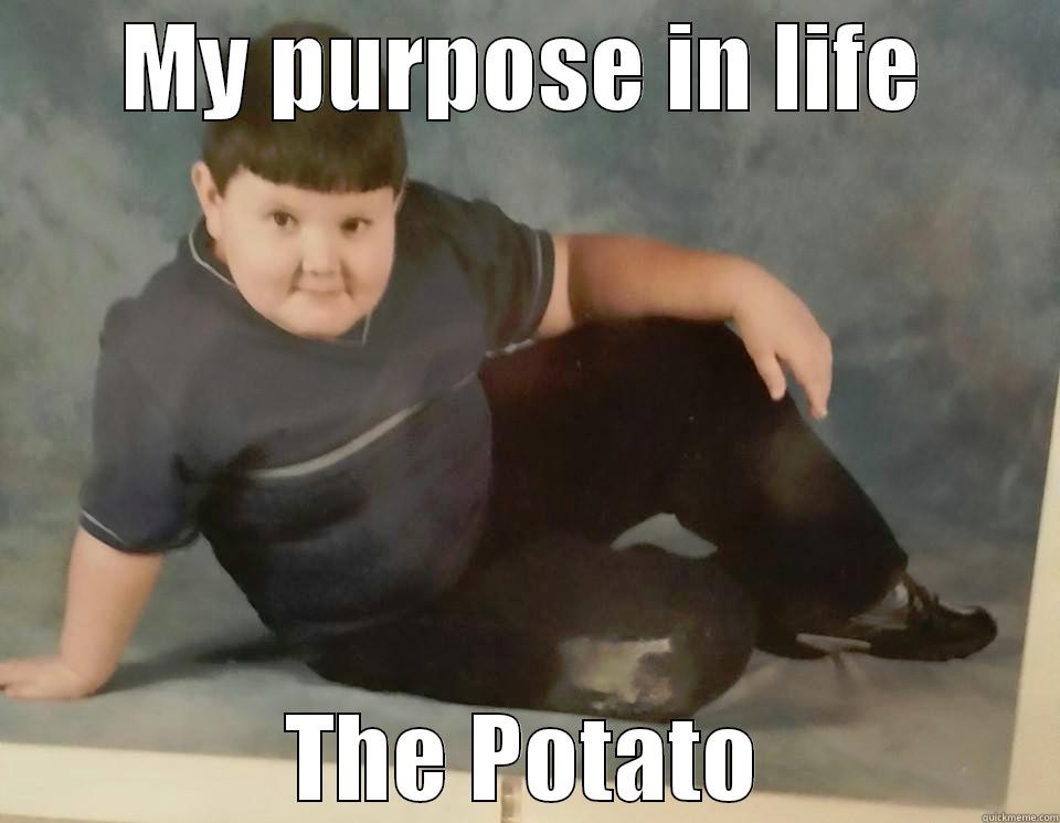 MY PURPOSE IN LIFE THE POTATO Misc