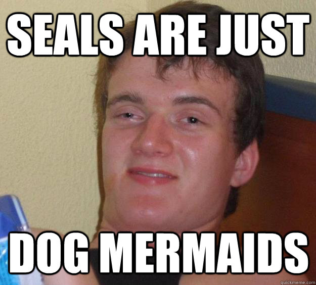 Seals are just dog mermaids - Seals are just dog mermaids  10 Guy