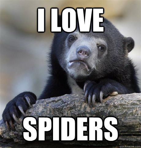 I love Spiders  Confession Bear