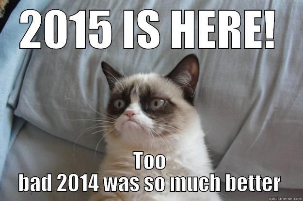 2015 IS HERE! TOO BAD 2014 WAS SO MUCH BETTER Grumpy Cat